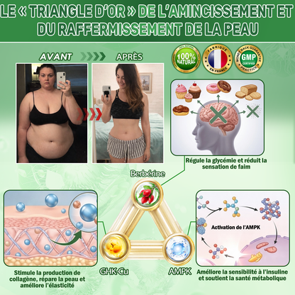 𝑷𝒂𝒕𝒄𝒉 𝒏𝒂𝒏𝒐 à 𝒎𝒊𝒄𝒓𝒐-𝒂𝒊𝒈𝒖𝒊𝒍𝒍𝒆𝒔 𝑫𝑶𝑻𝑨𝑳𝑬® 𝑵𝑨𝑫+ 𝑴𝒐𝒓𝒊𝒏𝒈𝒂 & 𝑩𝒆𝒓𝒃é𝒓𝒊𝒏𝒆 𝑨𝑴𝑷𝑲 𝑺𝒖𝒑𝒑𝒐𝒓𝒕 (1/𝒋𝒐𝒖𝒓 — 𝒓é𝒔𝒖𝒍𝒕𝒂𝒕𝒔 𝒗𝒊𝒔𝒊𝒃𝒍𝒆𝒔 𝒆𝒏 7 𝒋𝒐𝒖𝒓𝒔) 𝑭𝒐𝒓𝒎𝒖𝒍𝒆 𝒂𝒗𝒂𝒏𝒄é𝒆  ✅ Conçue pour soutenir le métabolisme, la gestion du poids, l’énergie, la peau et l’équilibre global.